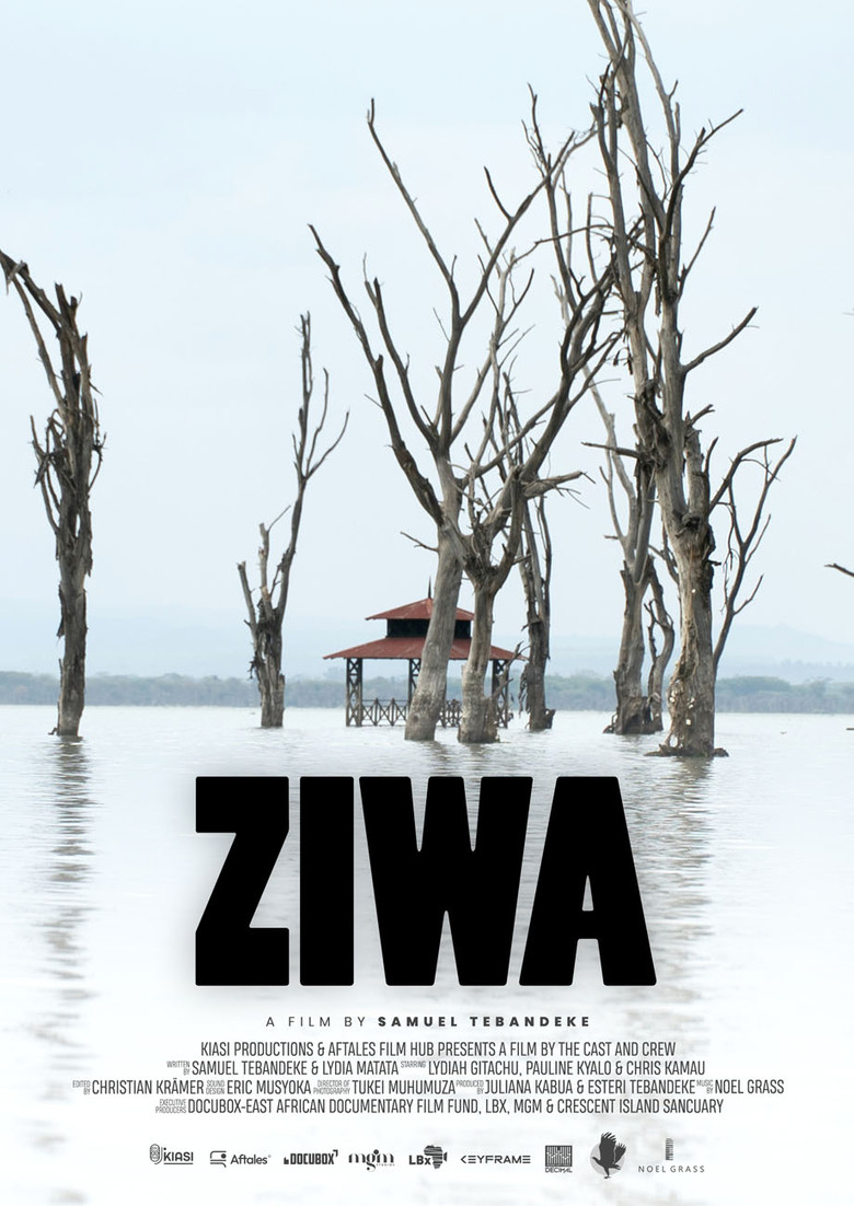 Ziwa poster background