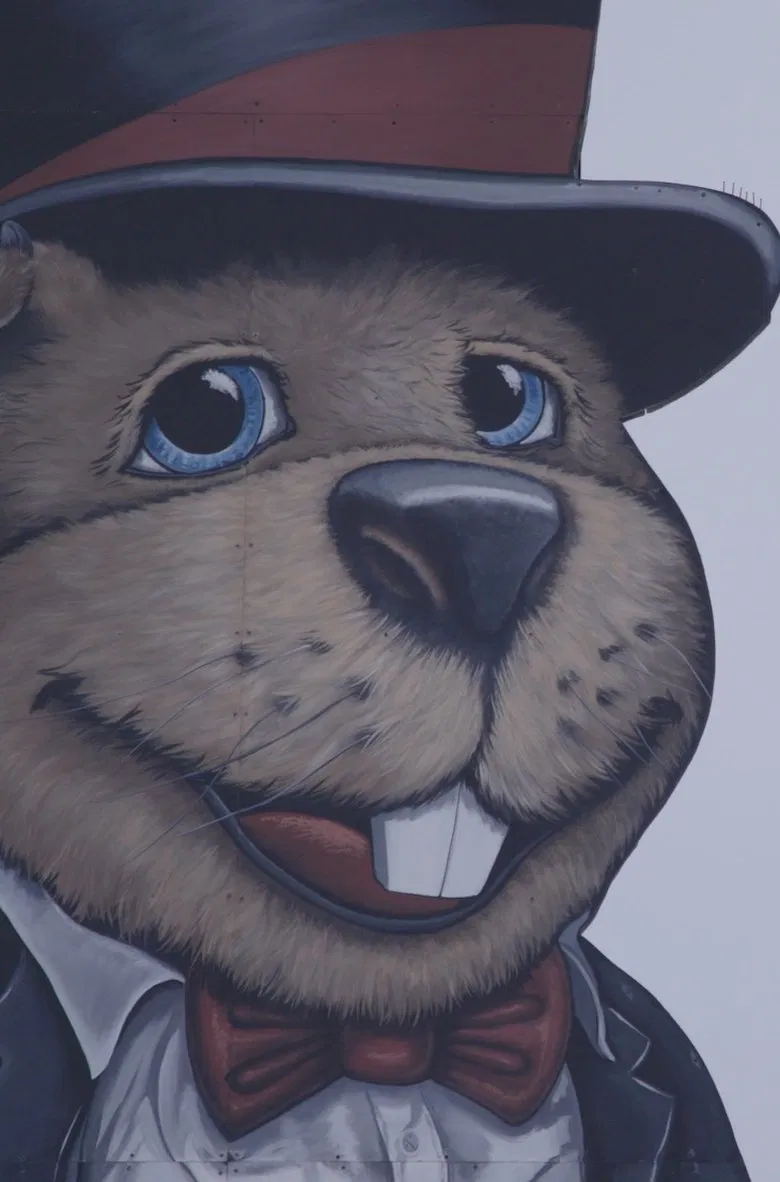 Groundhog Town poster background