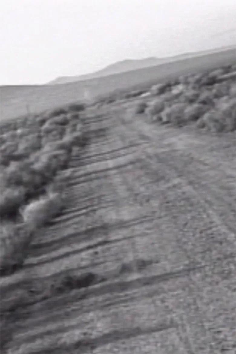 Facts on the Polywave poster background