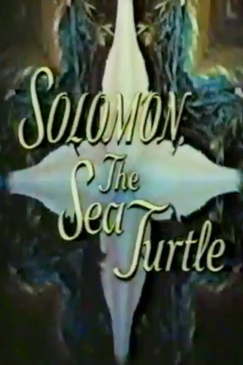 Solomon, the Sea Turtle poster background