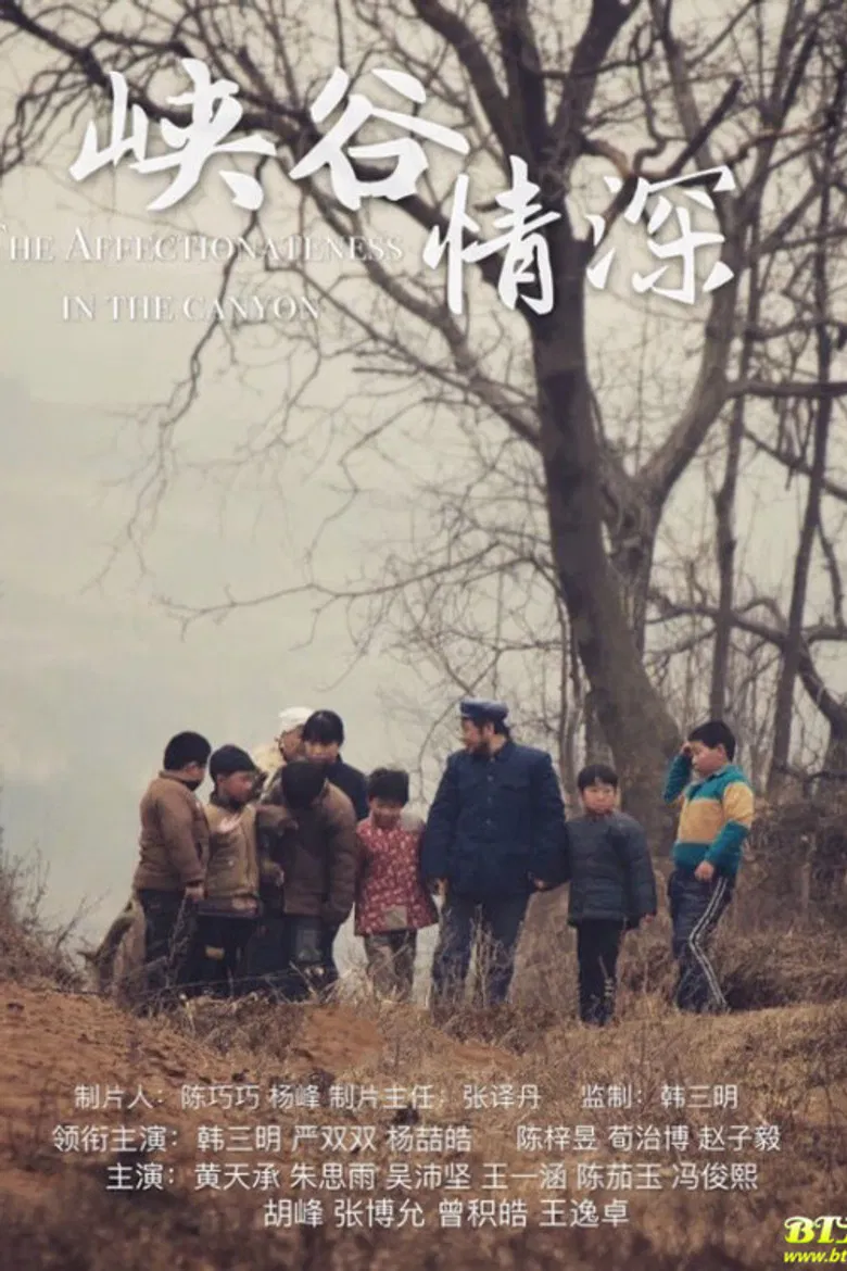 The Affechonateness in the Canyon poster background