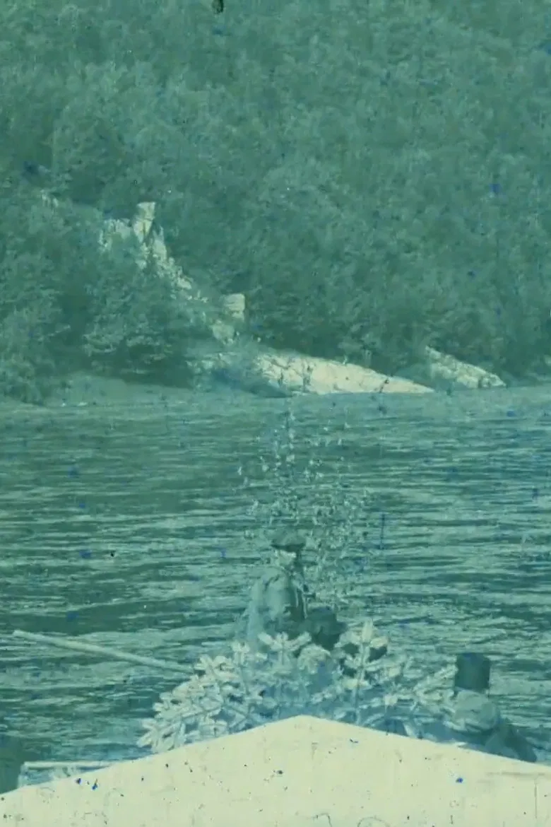 Midsummer Currents poster background