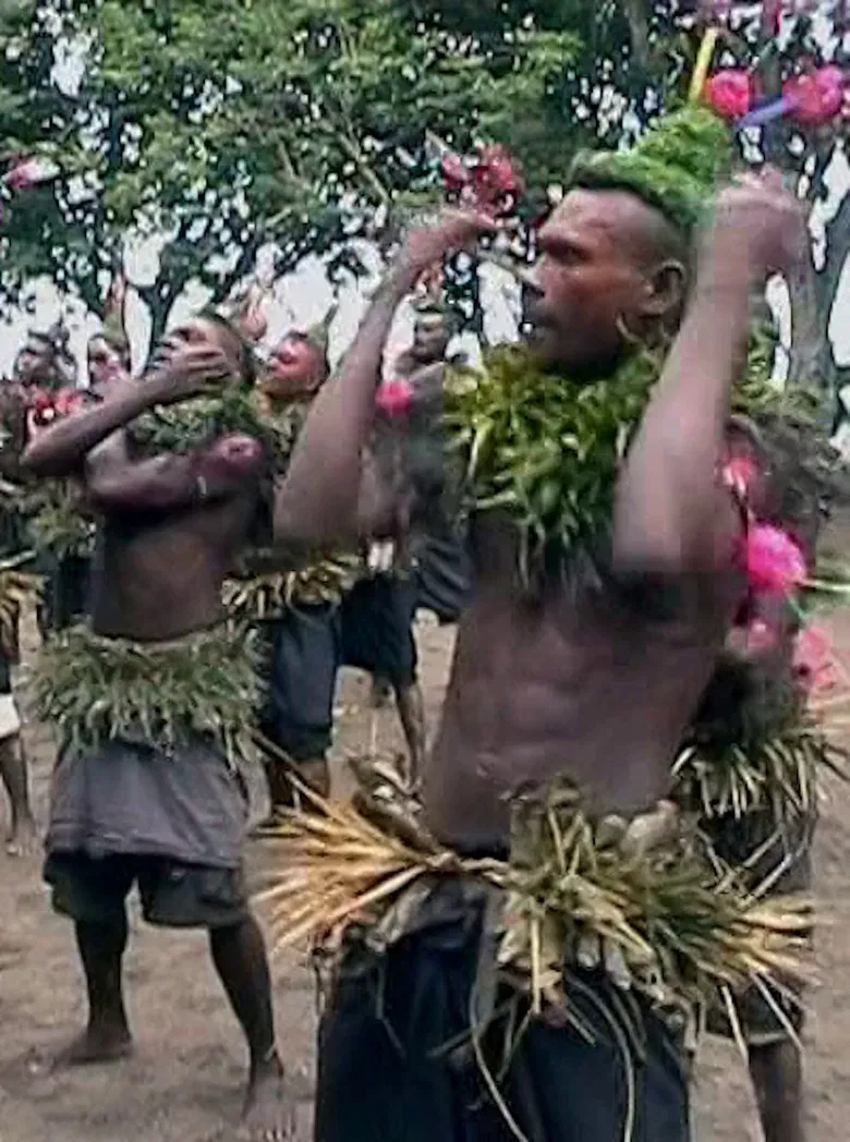 In the Wilderness of a Troubled Genre poster background