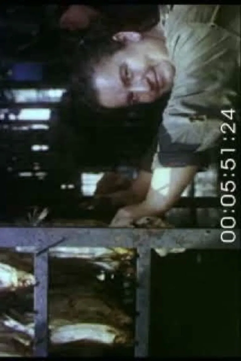 Landscape. Portrait. Still Life poster background