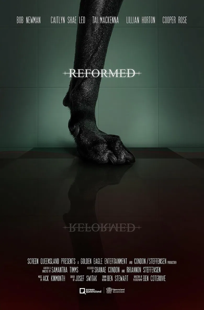 Reformed poster background