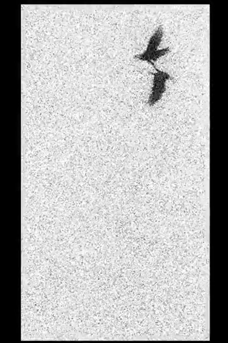 Of Dice and Men poster background