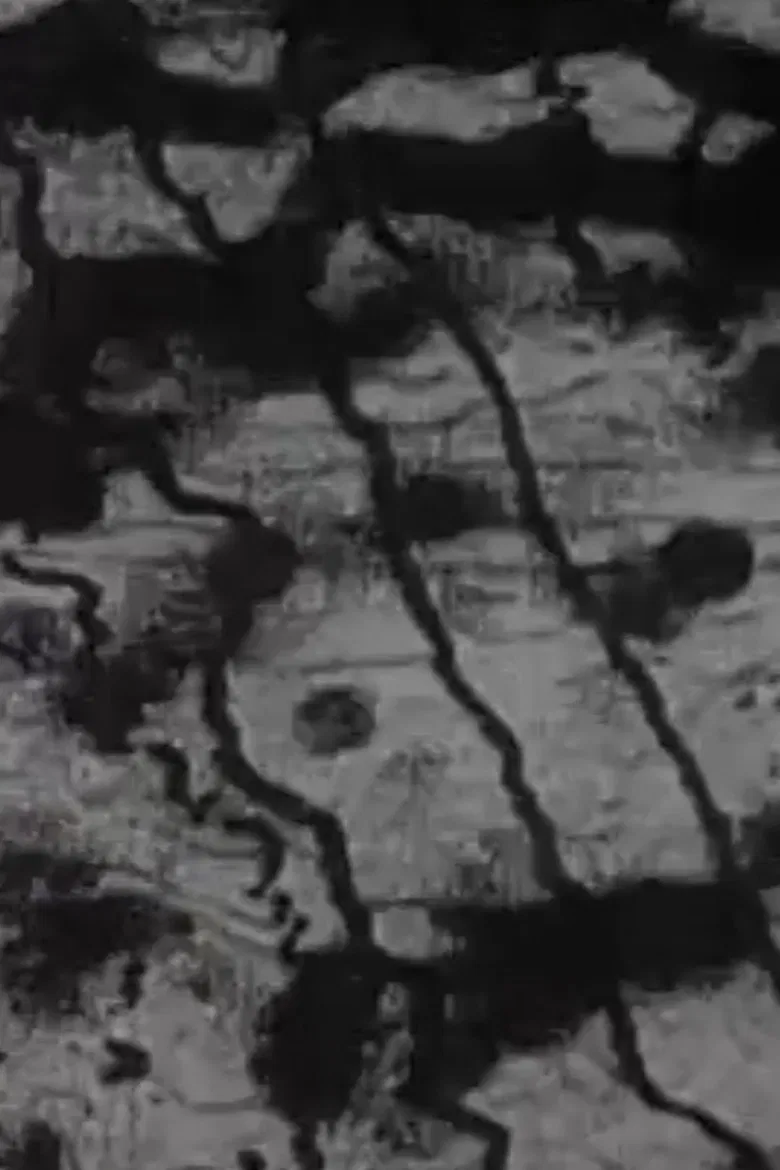 Altisonans poster background