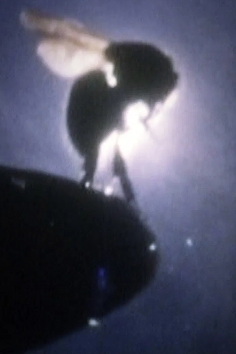 UFO Flying Course poster background