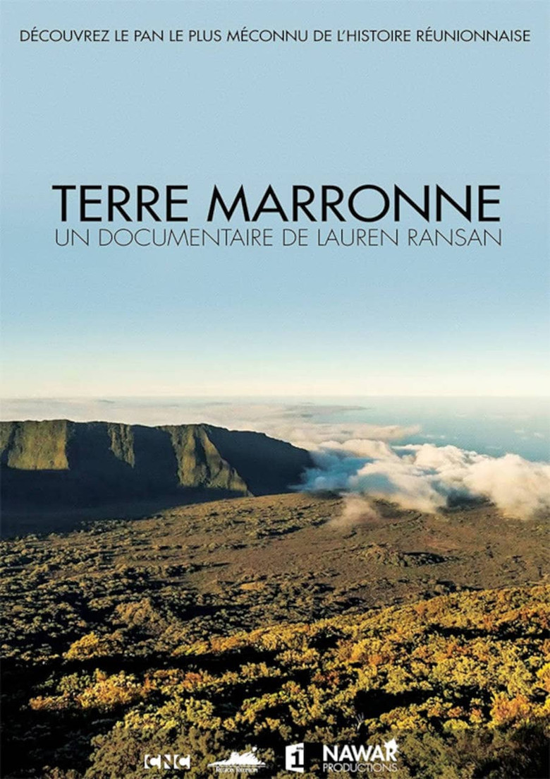 Terre marronne poster background
