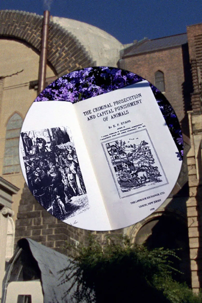 Bugs and Beasts Before the Law poster background