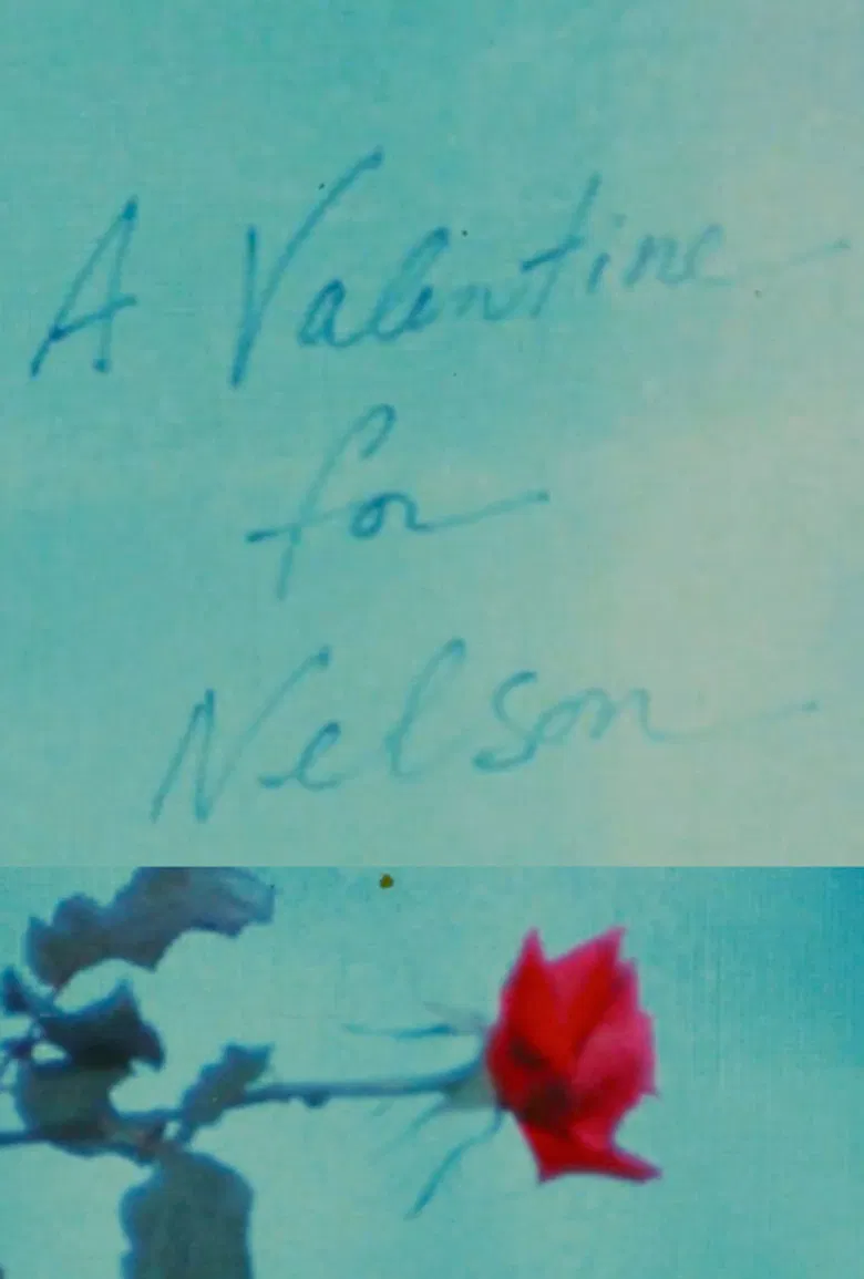 A Valentine for Nelson poster background