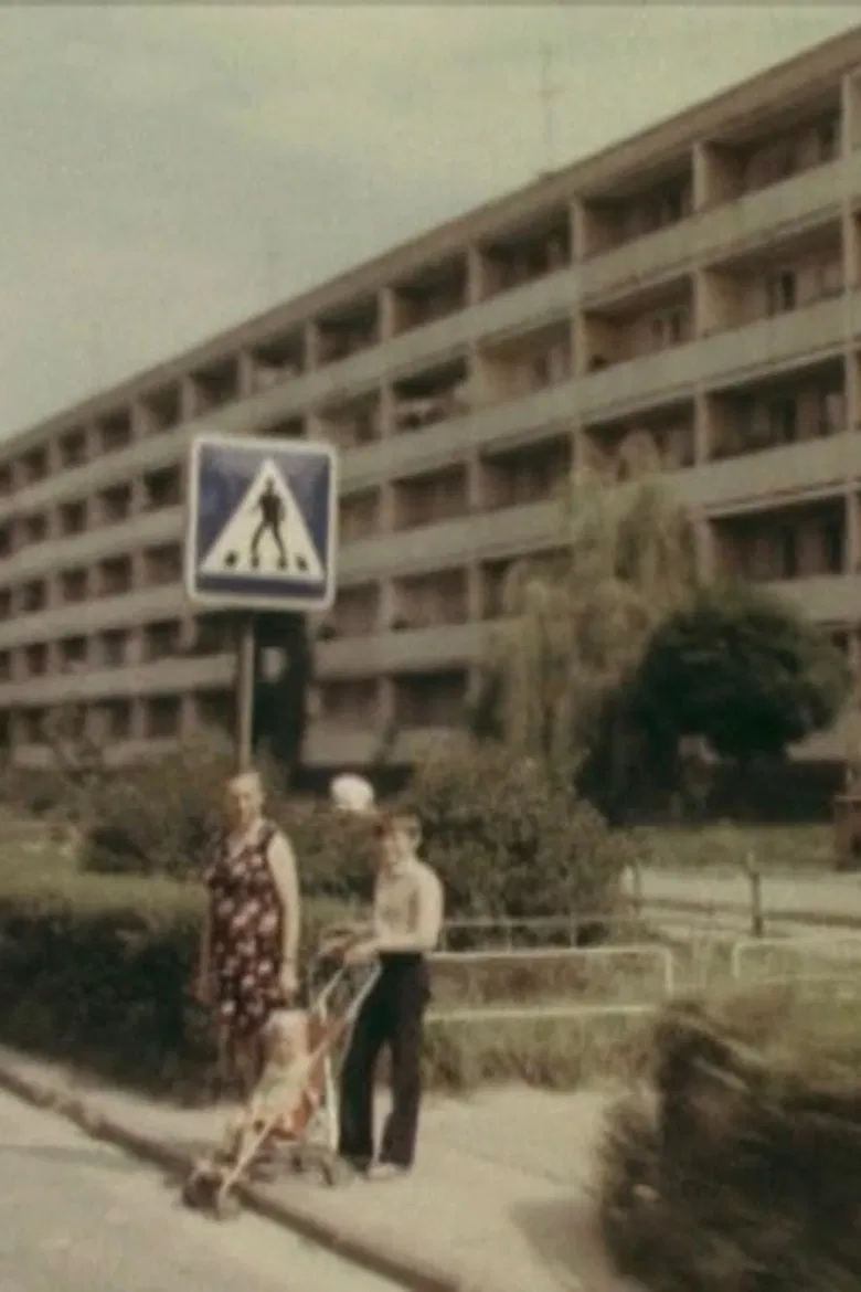 Belonging poster background