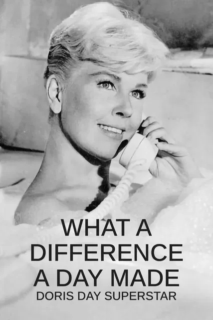 What a Difference a Day Made: Doris Day Superstar poster background