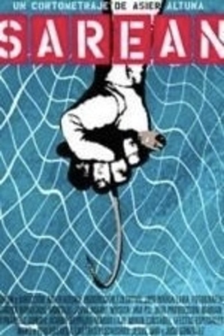 In the Net poster background