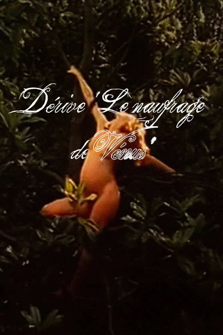 Dérive 'Le naufrage de Vénus' poster background