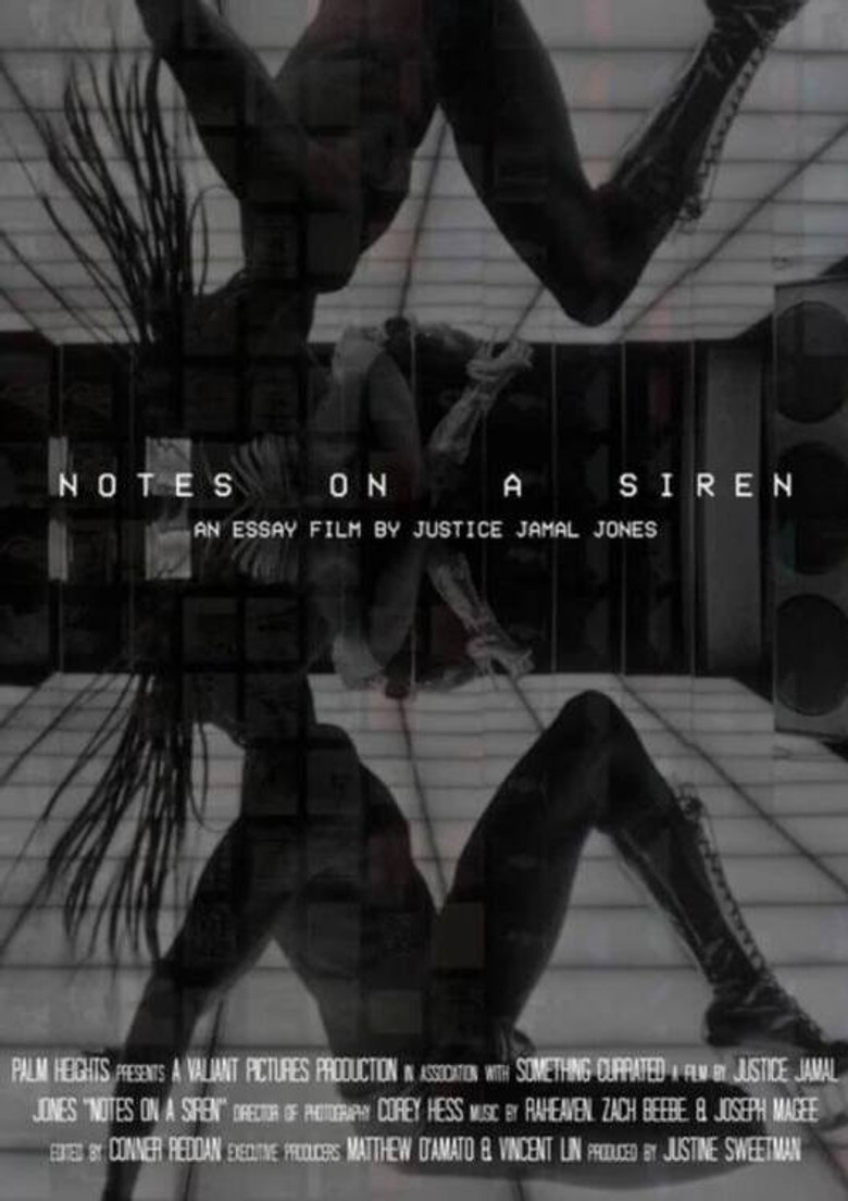 Notes On A Siren poster background