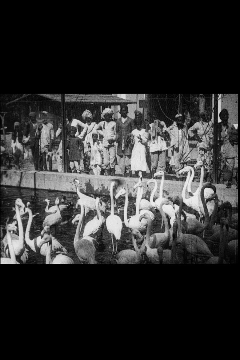 Indian Scenes poster background