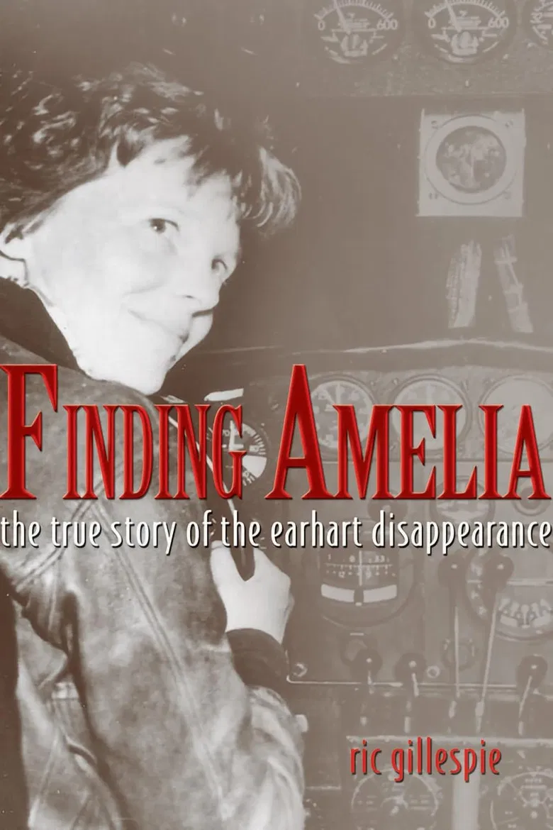 Finding Amelia poster background