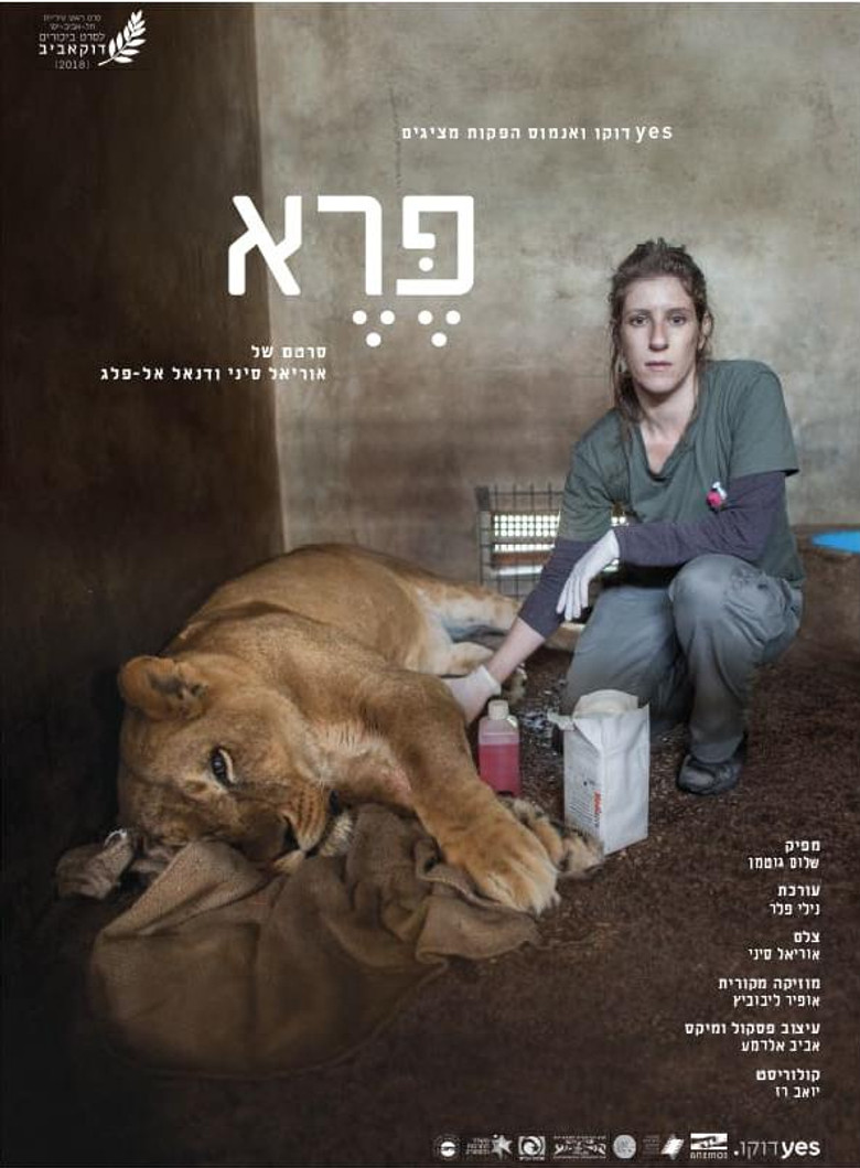 Wild: Life, Death and Love in a Wildlife Hospital poster background