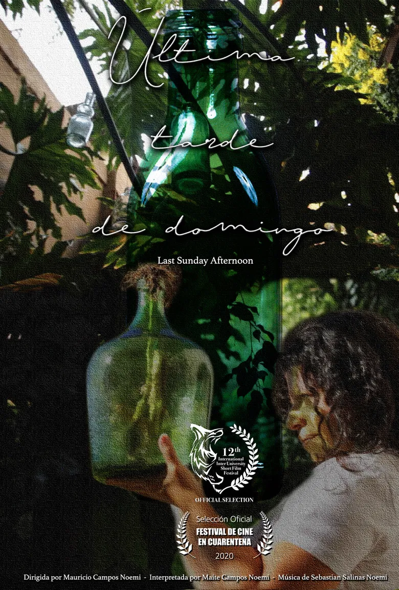 Last Sunday Afternoon poster background