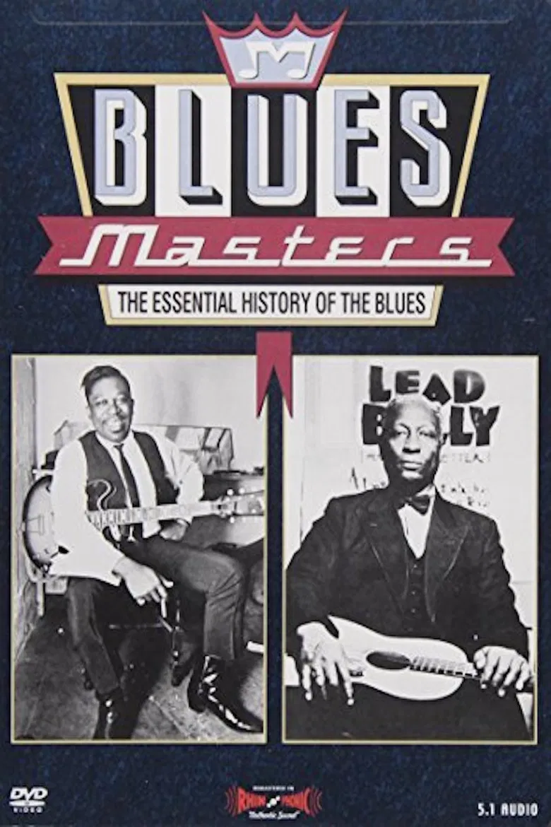 Blues Masters - The Essential History of the Blues poster background