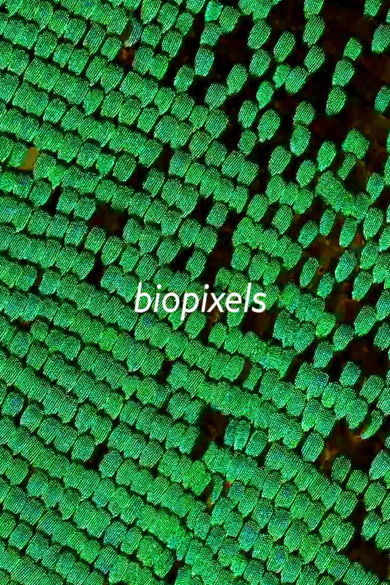 biopixels poster background