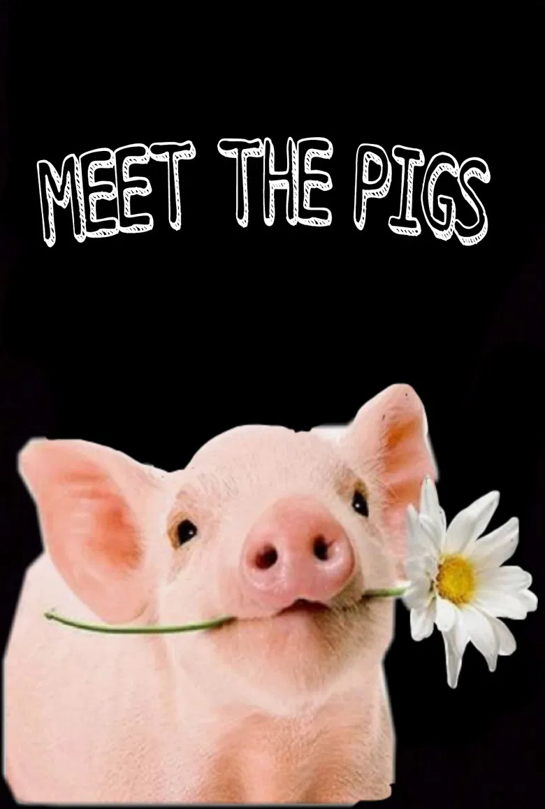 Meet the Pigs poster background