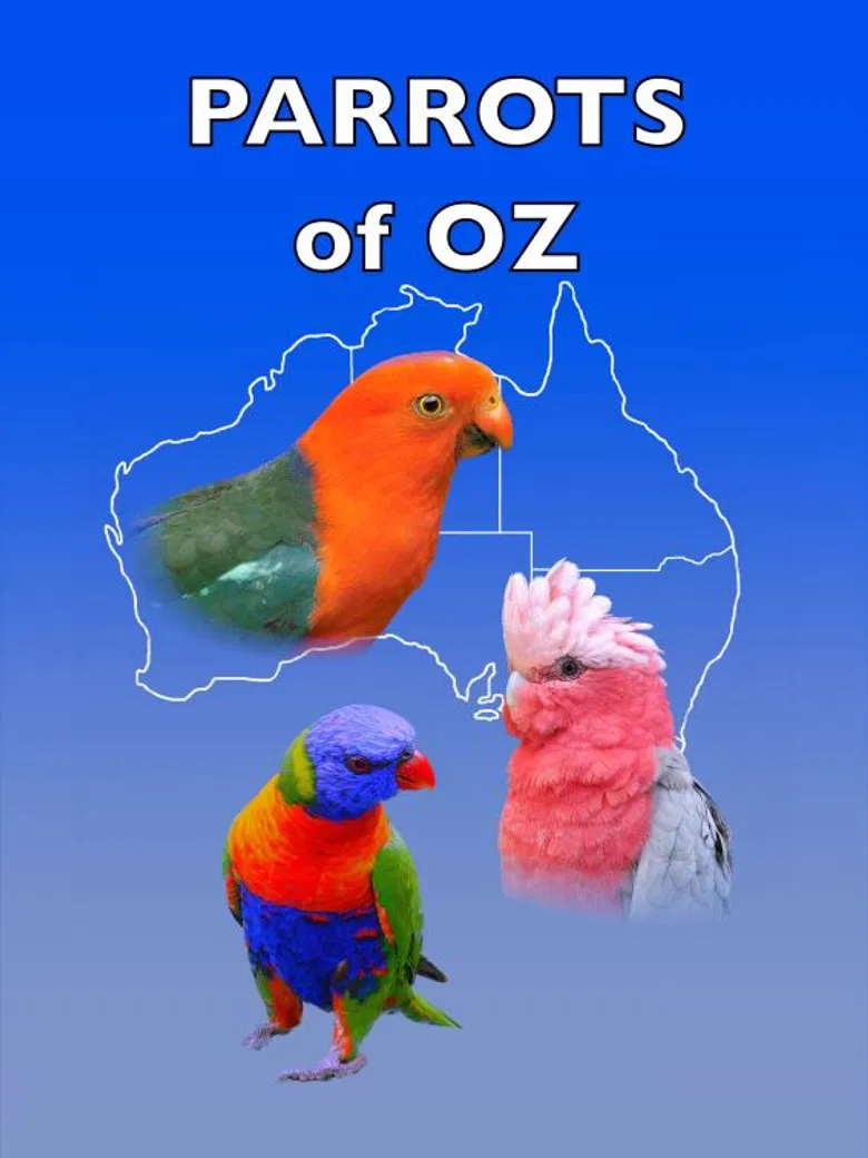 Parrots of Oz poster background