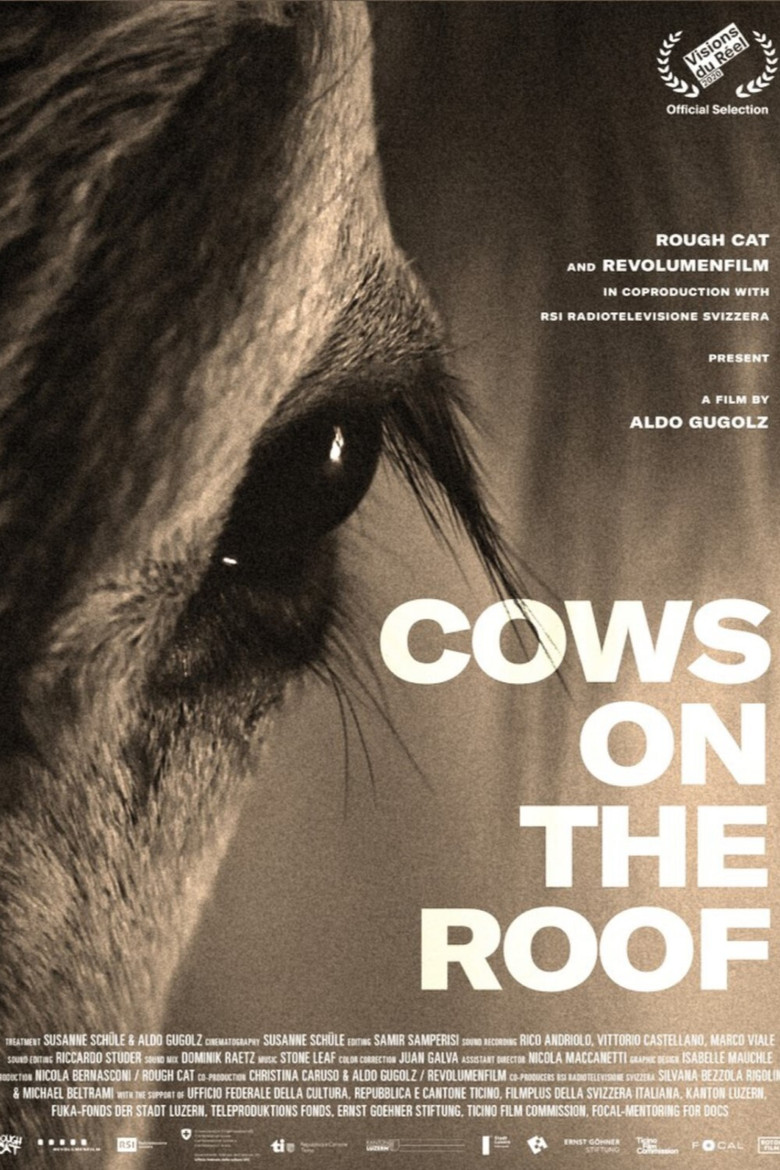 Cows on the Roof poster background