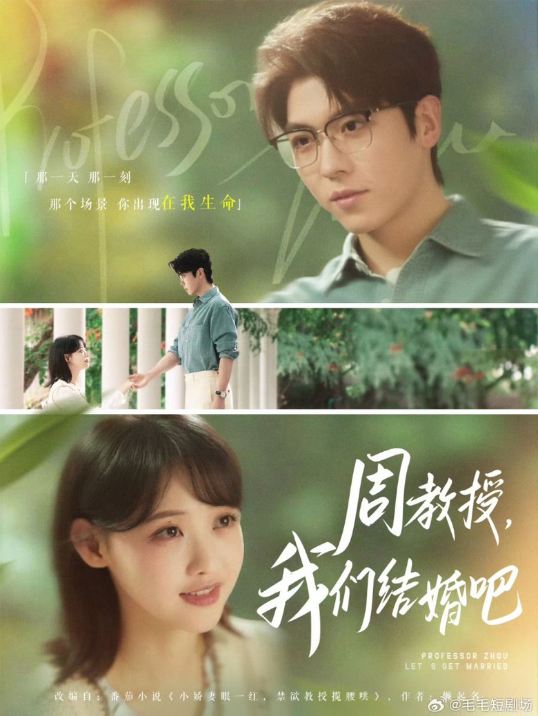 周教授，我们结婚吧 poster background