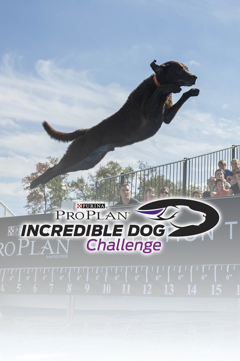 The Incredible Dog Challenge Tour poster background