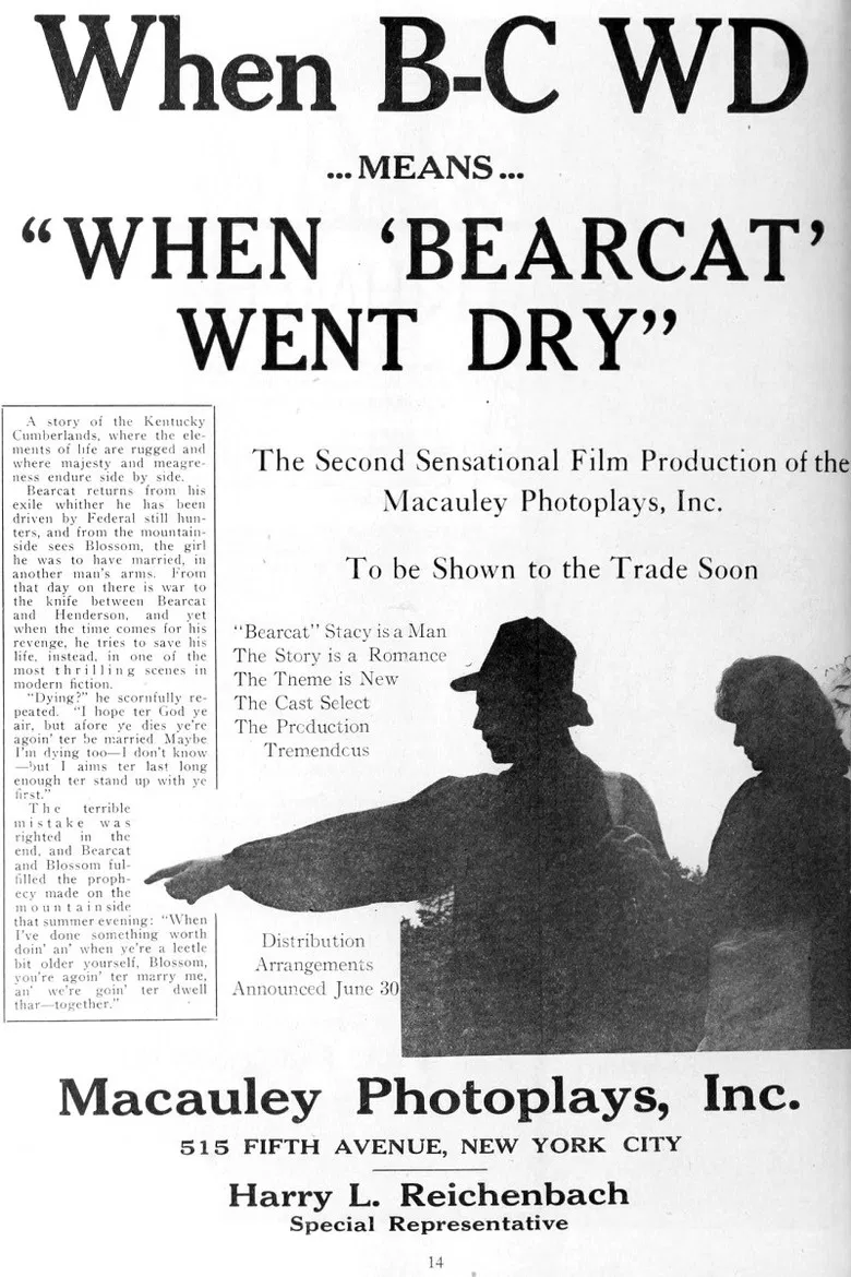 When Bearcat Went Dry poster background