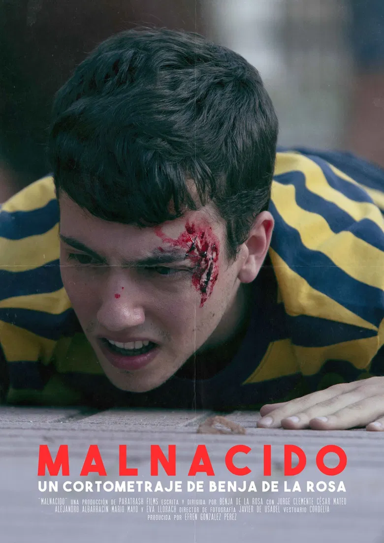 Malnacido poster background