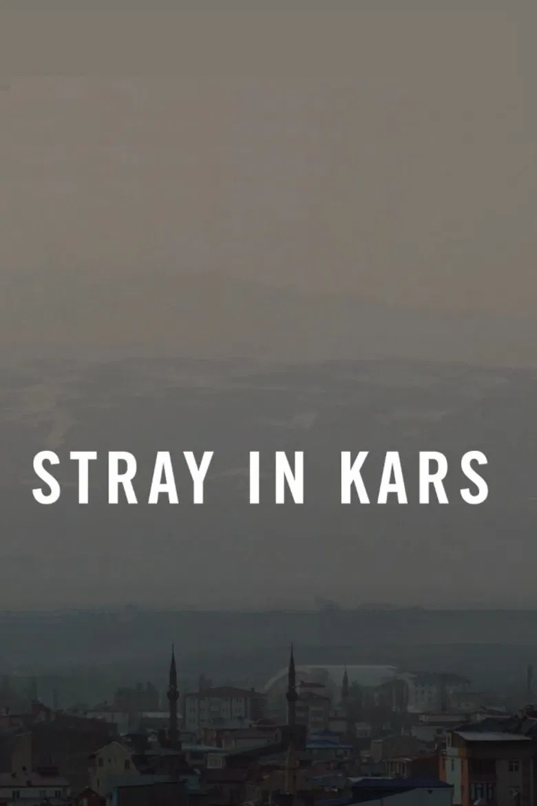 Stray in Kars poster background