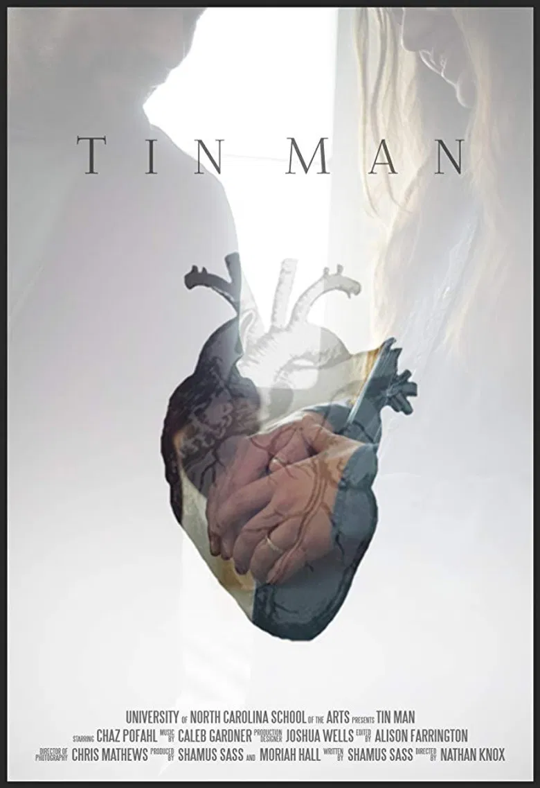 Tin Man poster background