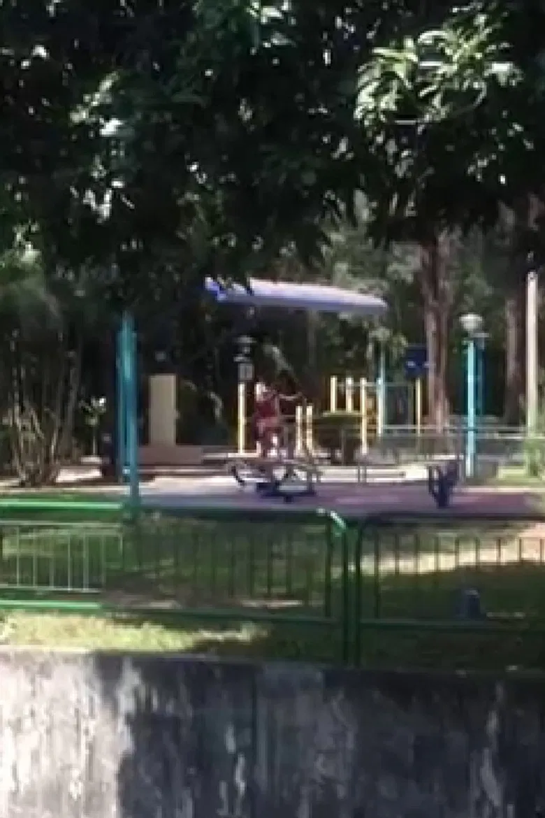 tricot MOVIE June 2015 in Singapore poster background