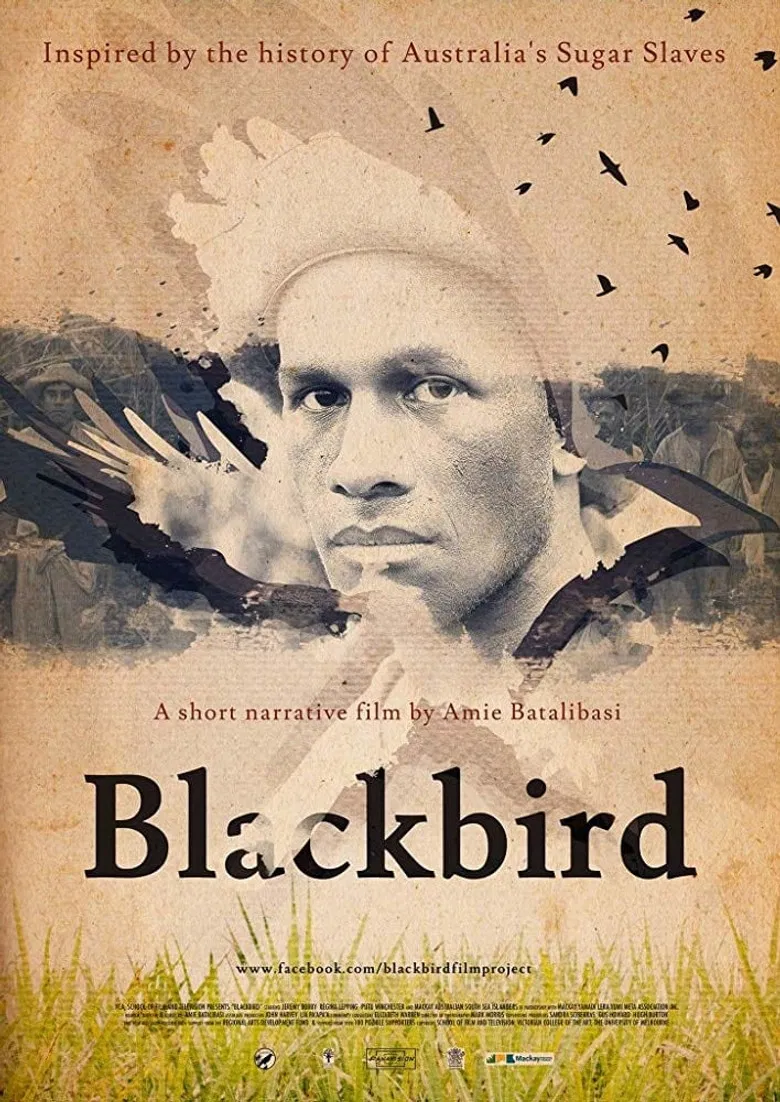 Blackbird poster background