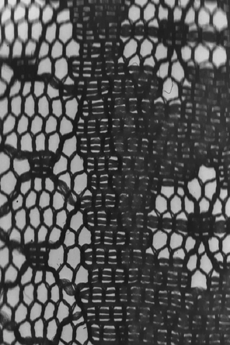 Flesh Of Flesh poster background