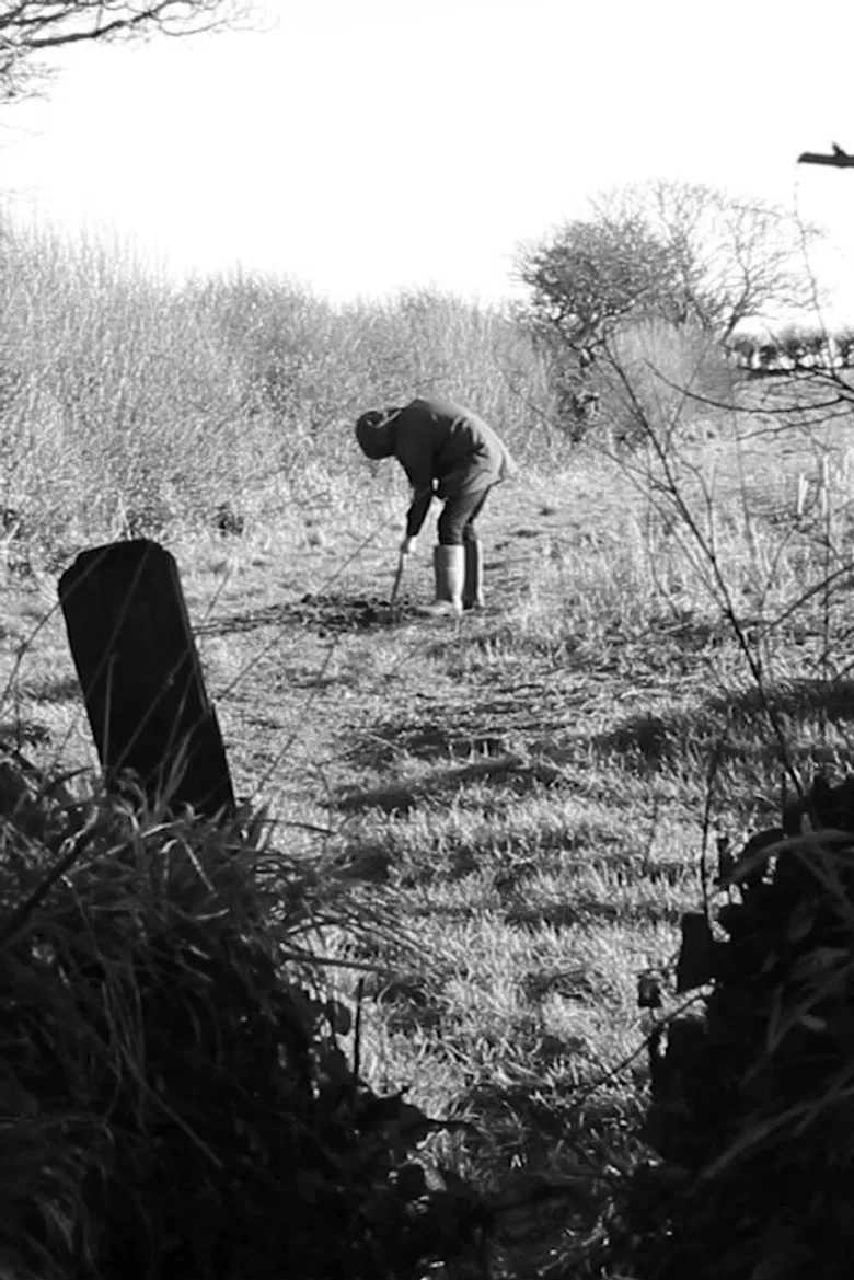 The Dig poster background