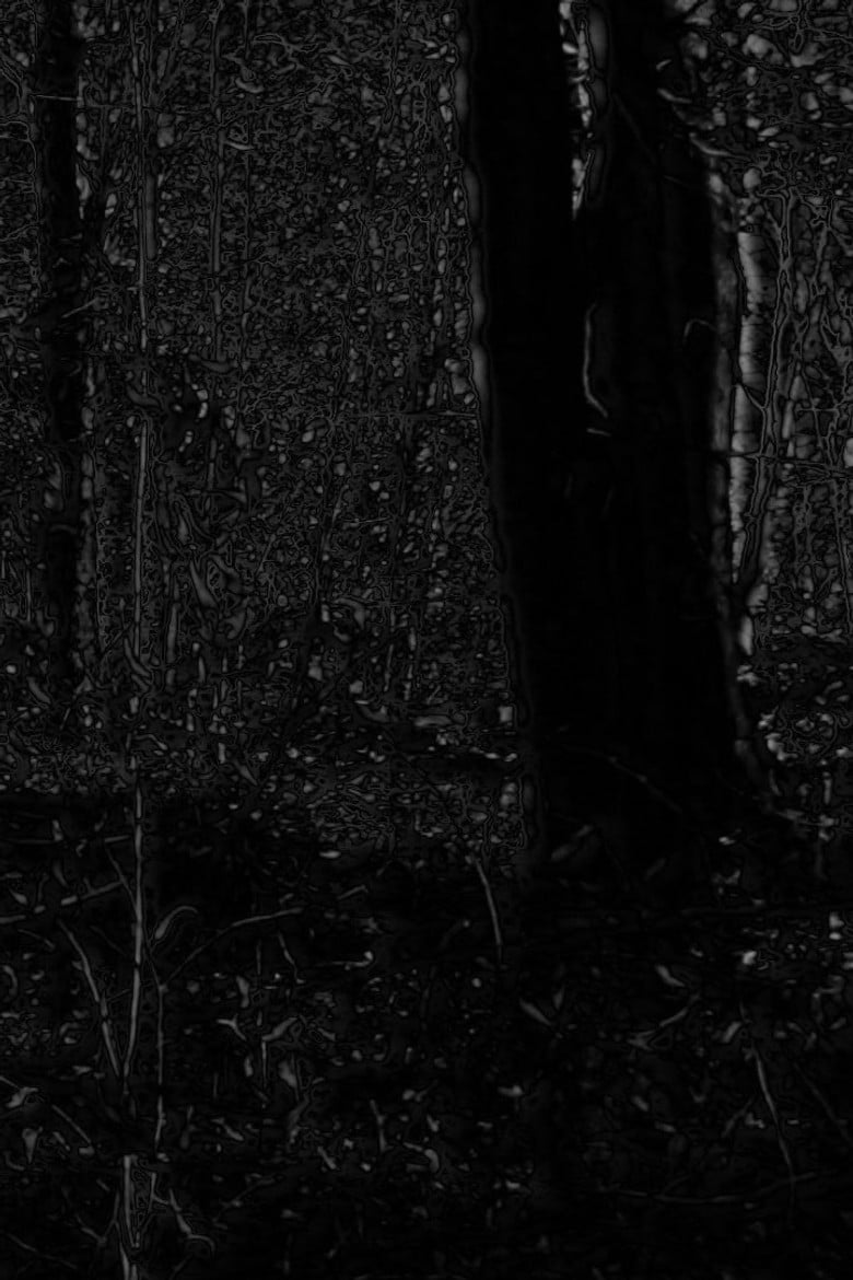 Phosphenes II poster background