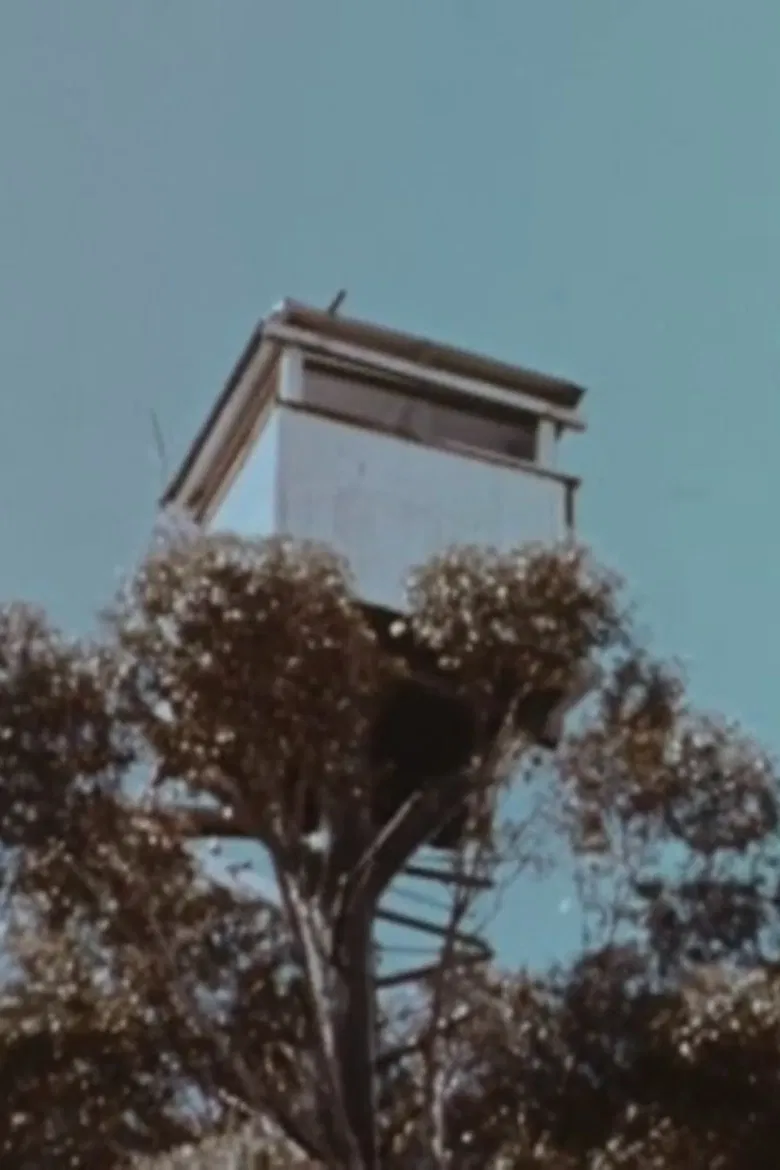 The Karri Forest poster background