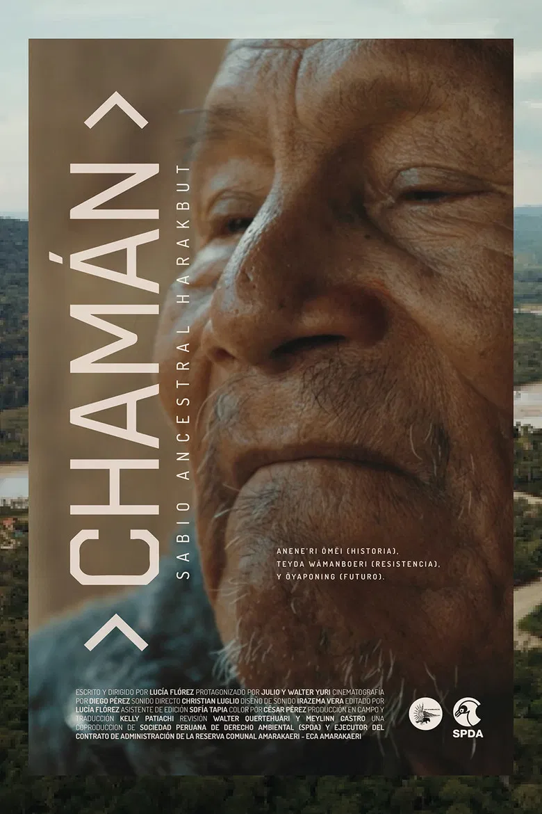 Chamán poster background