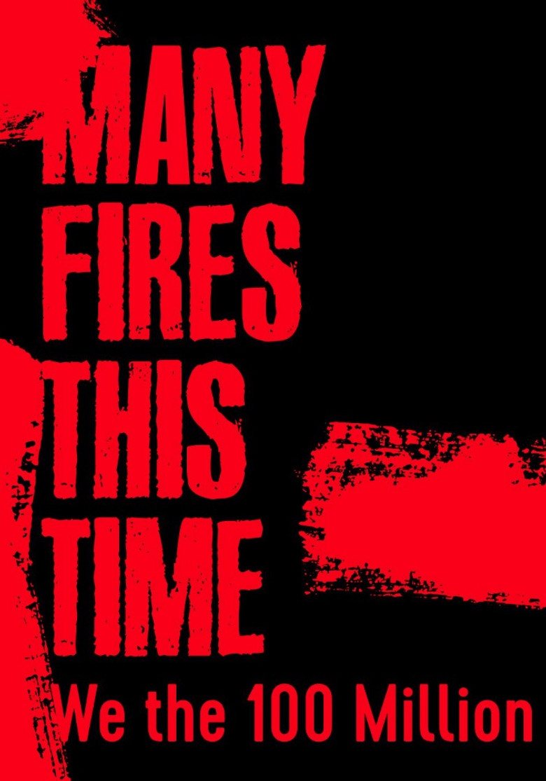 Many Fires This Time: We the 100 Million poster background