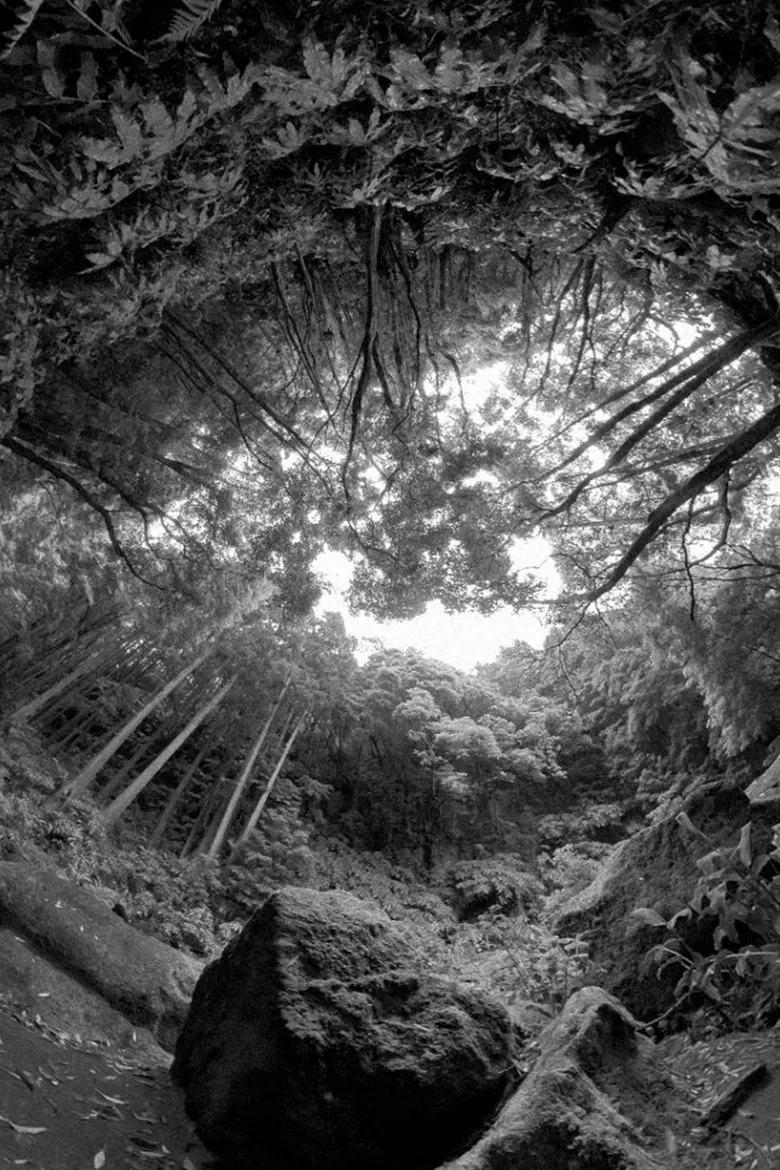 Window of Hell poster background