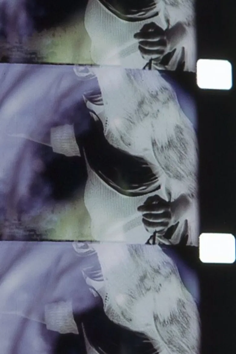 Tung poster background