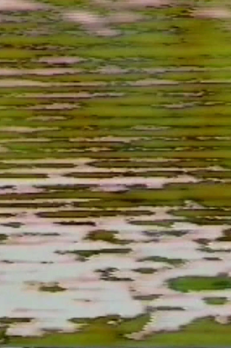 Mirror Road poster background