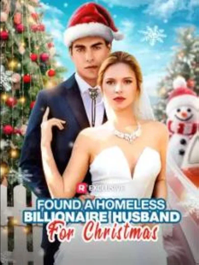 Found a Homeless Billionaire Husband for Christmas poster background