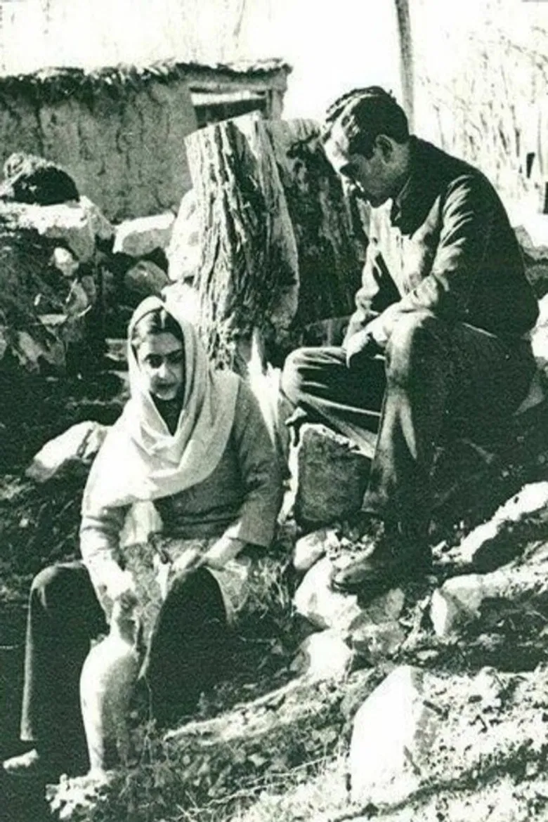 The Tempest of Life poster background