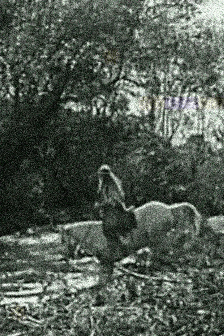 The White Squaw poster background