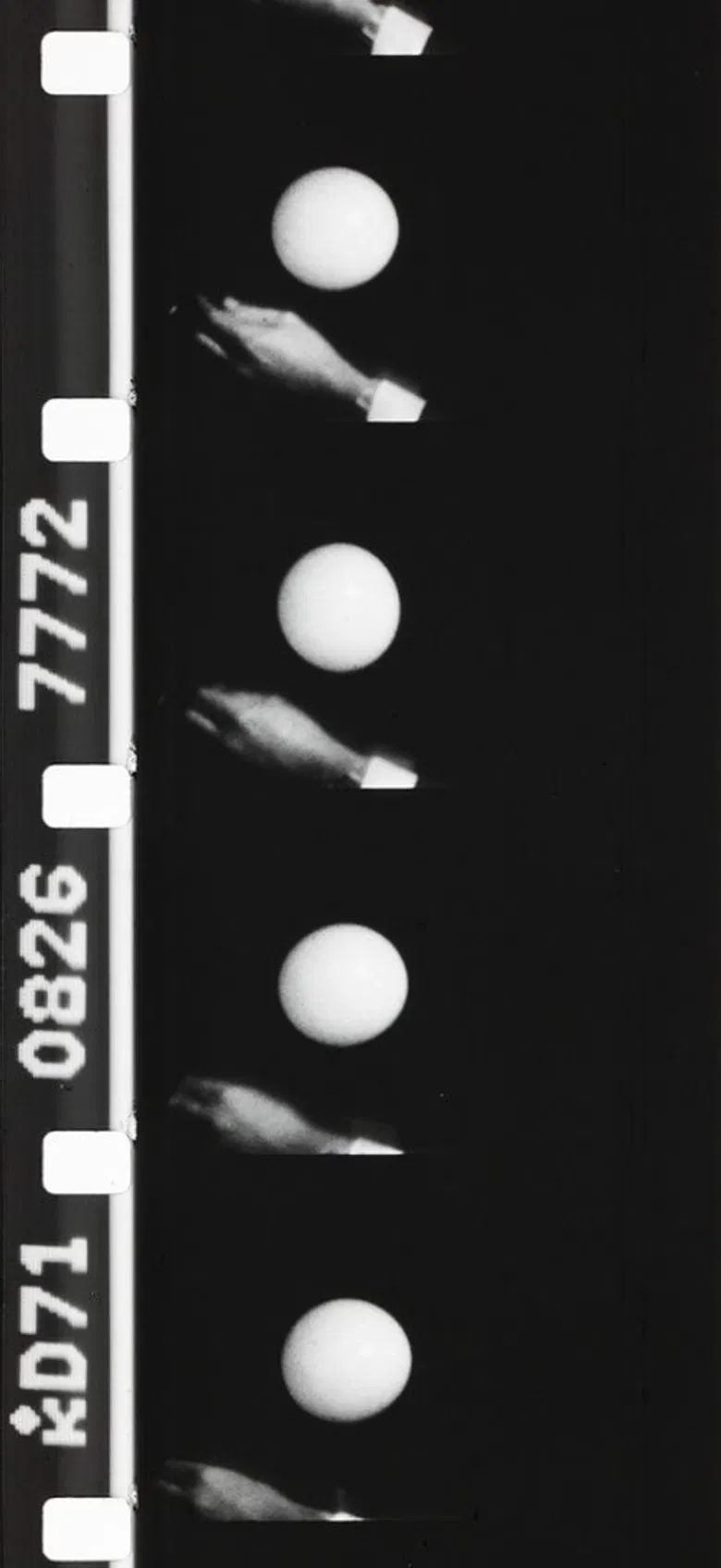 Self-Portrait or What We All Miss poster background